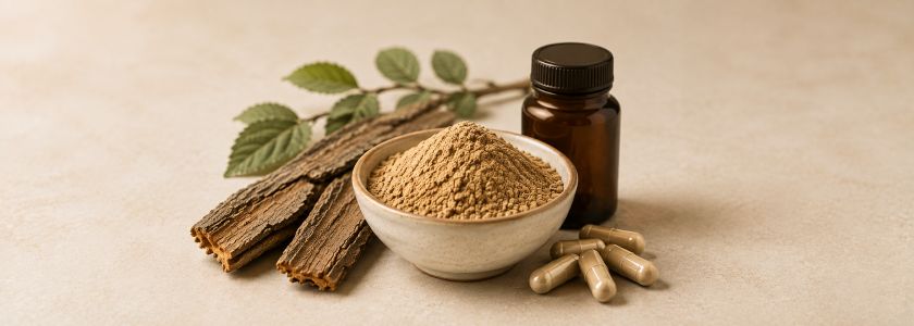 Slippery elm bark, bark powder and unbranded capsules arranged with an amber supplement bottle
