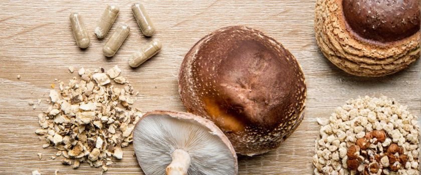 mushrooms-mushroom-reishi-turkey tail-lions mane-cordyceps-medical mushrooms-capsules-powder
