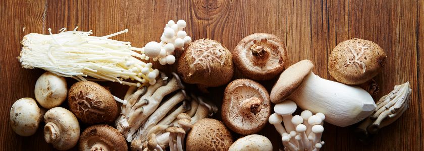 Variety of fresh medicinal mushroom on a table; reishi, lion's mane, cordyceps, turkey tail