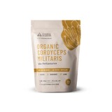 Evolution Botanicals Organic Cordyceps Militaris Powder 200gm Pouch