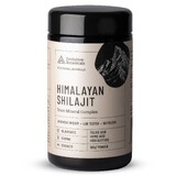 Evolution Botanicals Organic Himalayan Shilajit Powder 100gm Jar