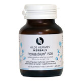 ProstaLobium® 1500 by Hilde Hemmes 60 vcaps