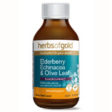 Herbs of Gold Elderberry, Echinacea & Olive Leaf 100 ml