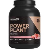 PranaOn Power Plant Protein 2.5kg Powder Strawberry Sundae