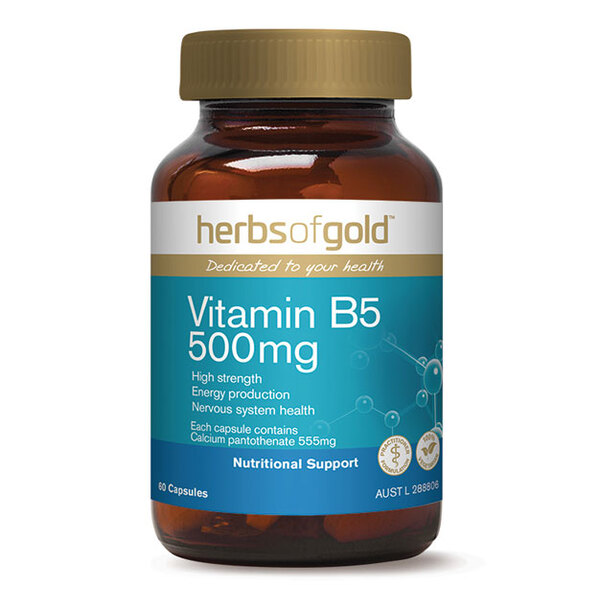 Vitamin B5 500mg by Herbs of Gold 60 vcaps