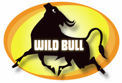 Wild Bull